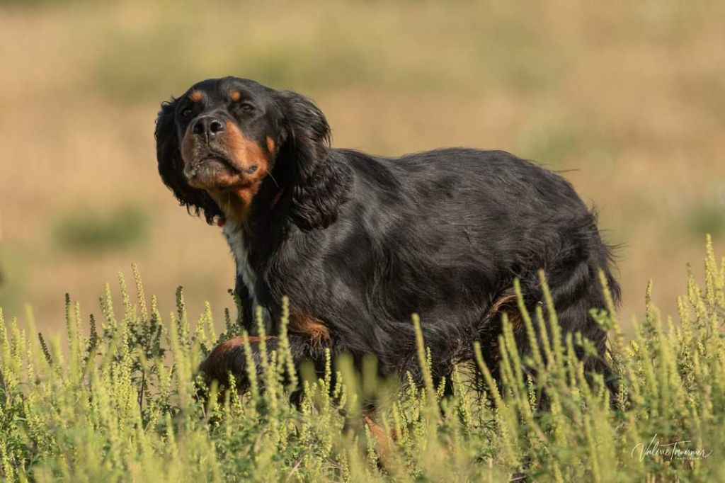 BILAN FIELD D'AUTOMNE